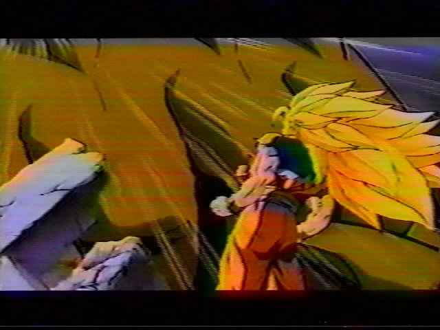 Dragonball Z Movie 13 (60).jpg